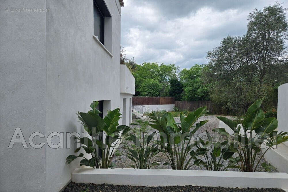 Maison à MONTPELLIER