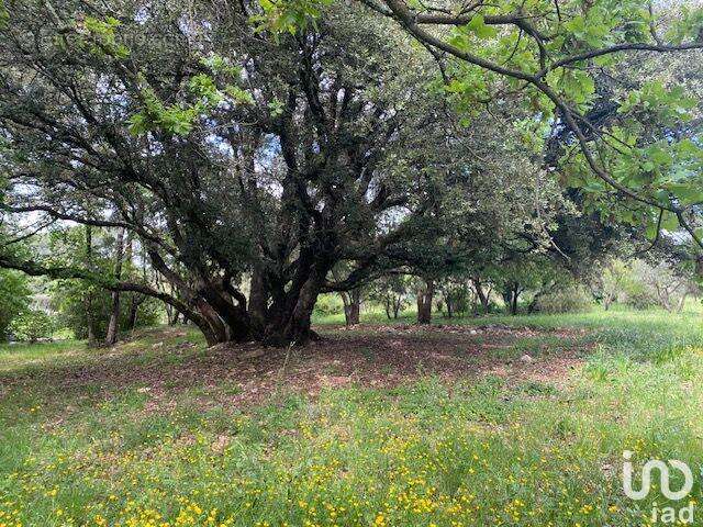 Photo 6 - Maison à LORGUES