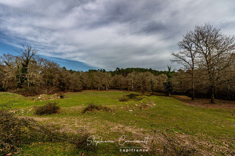 Maison à SAINT-FRONT-DE-PRADOUX
