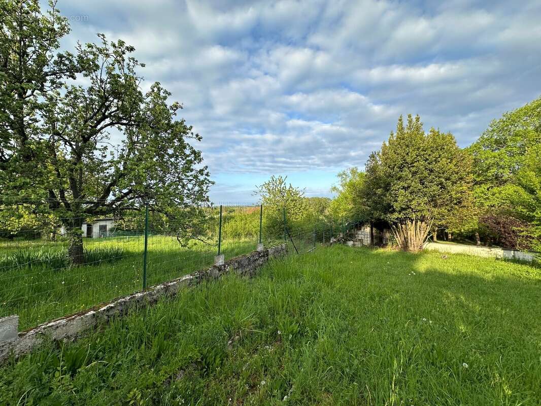 Terrain à MONTREVEL-EN-BRESSE