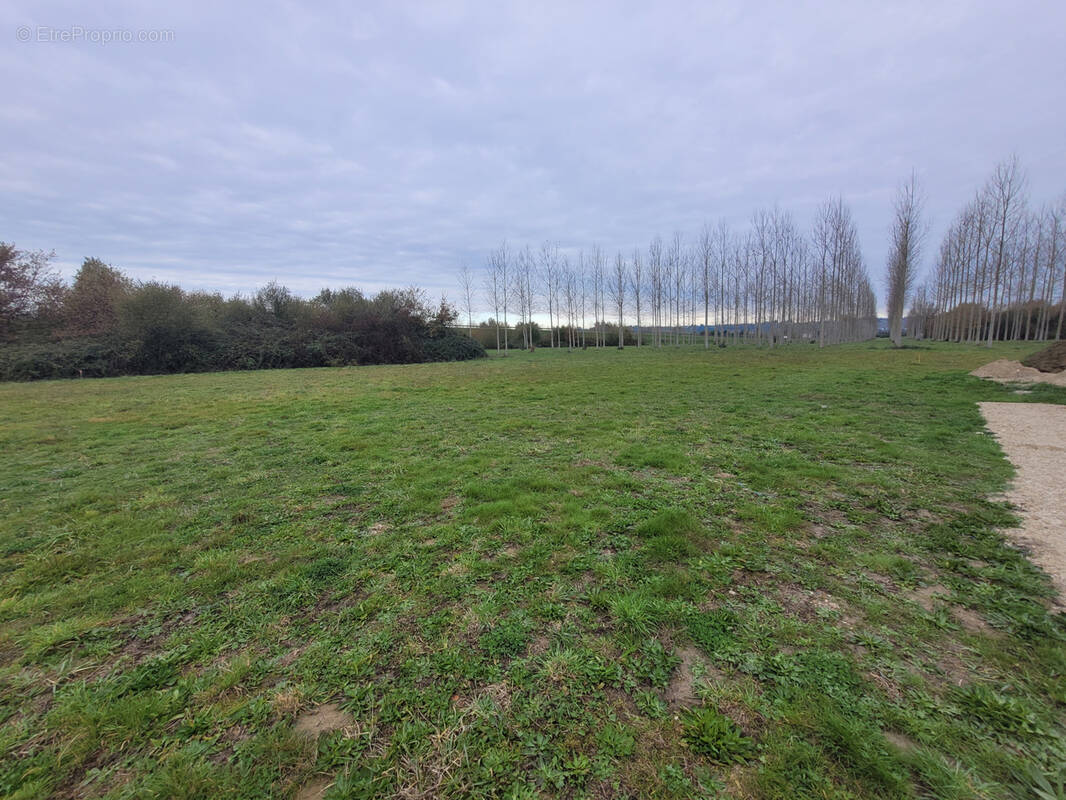 Terrain à BEAUPUY