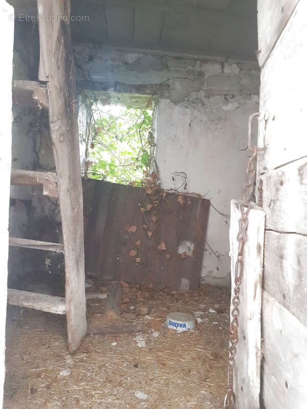 Maison à LA CHARCE