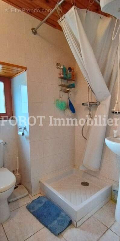 Maison à LE CHAMBON