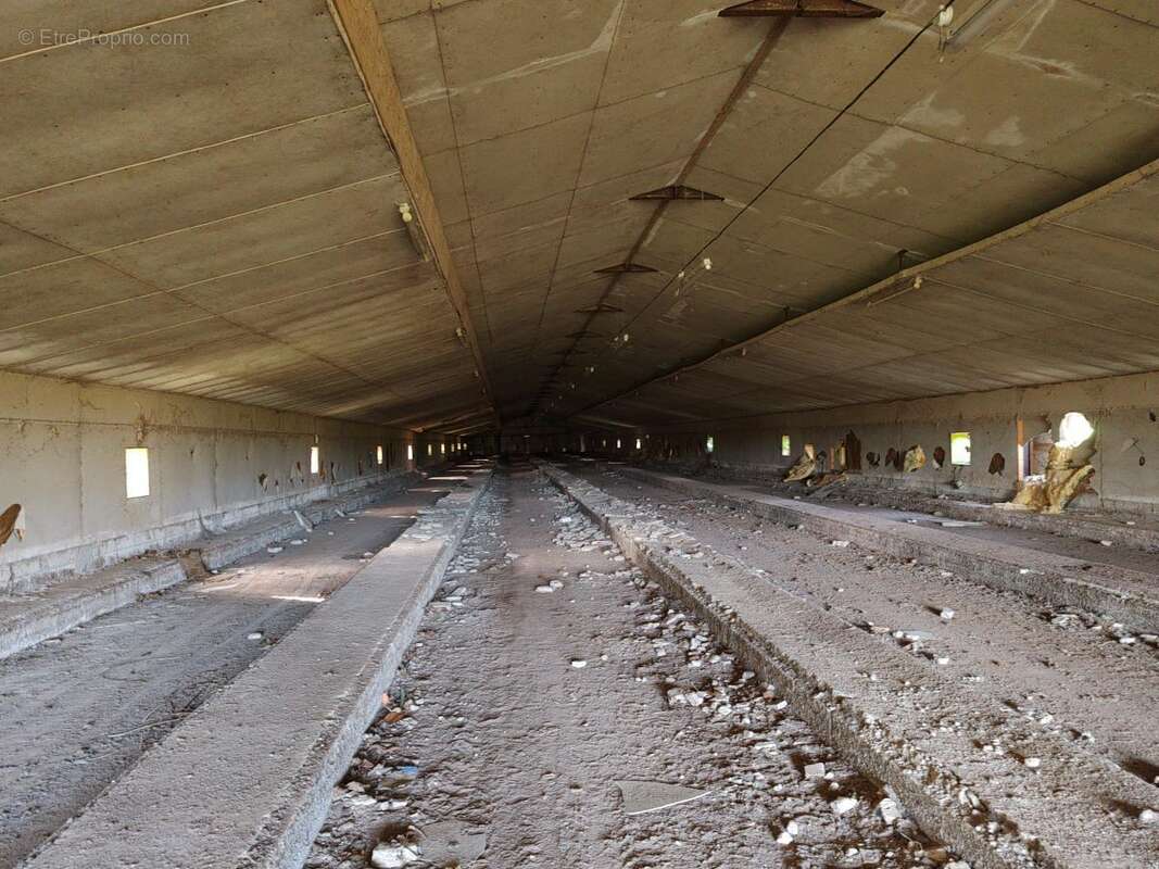 Autre à PLOUNEOUR-MENEZ