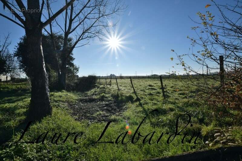 Maison à SAINTE-BAZEILLE
