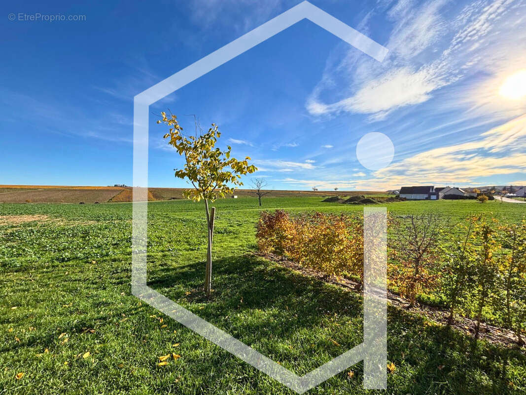 Maison à SANCERRE