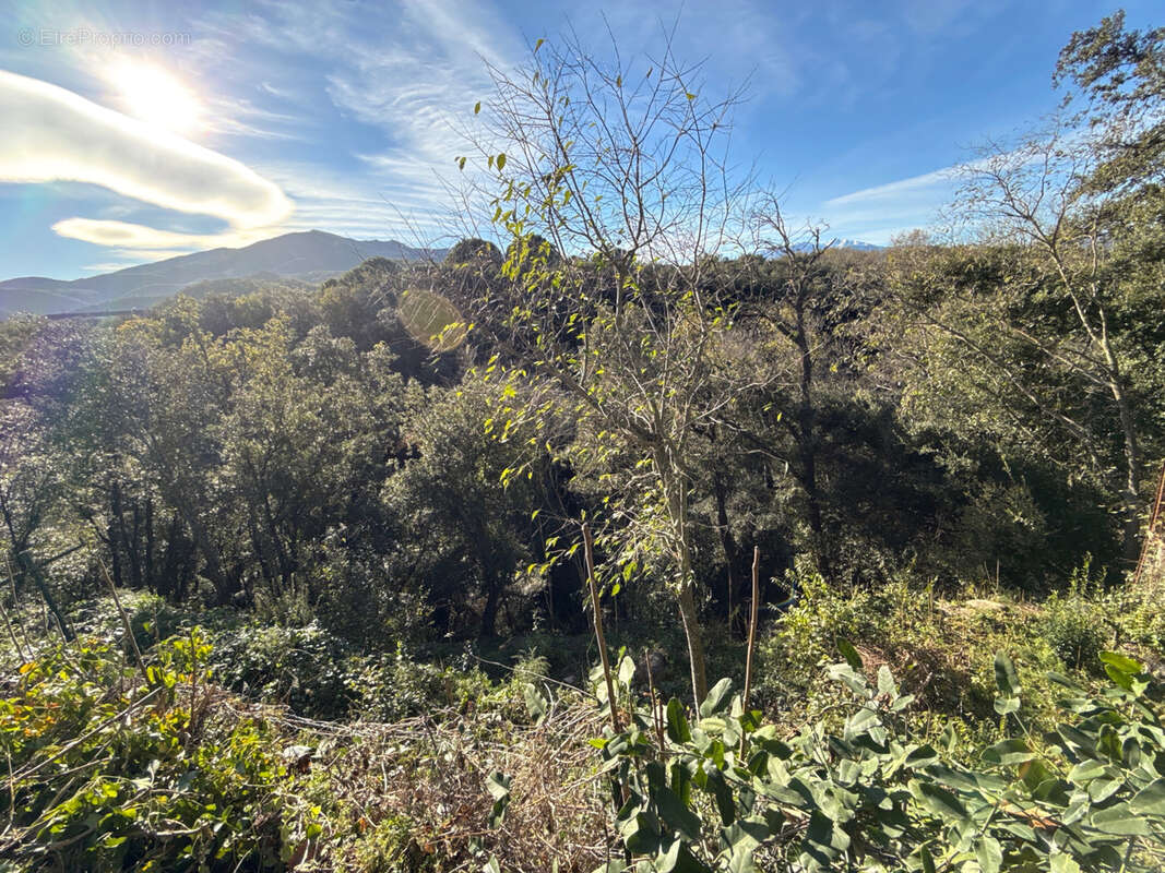 Maison à MAUREILLAS-LAS-ILLAS