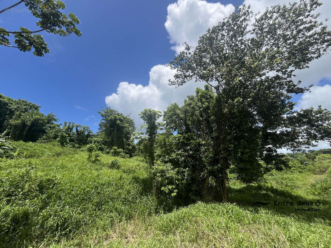 Terrain à LE LAMENTIN