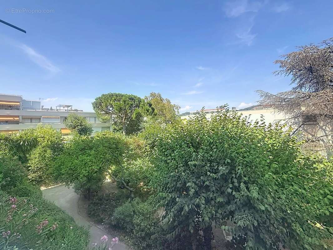Cannes tassigny : residence seniors grand 2 pieces refait neuf - photo 15