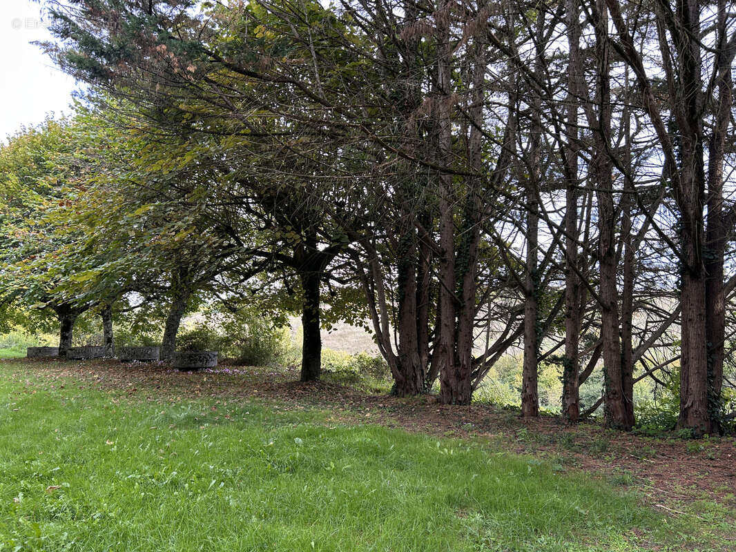 Maison à LE GRAND-PRESSIGNY