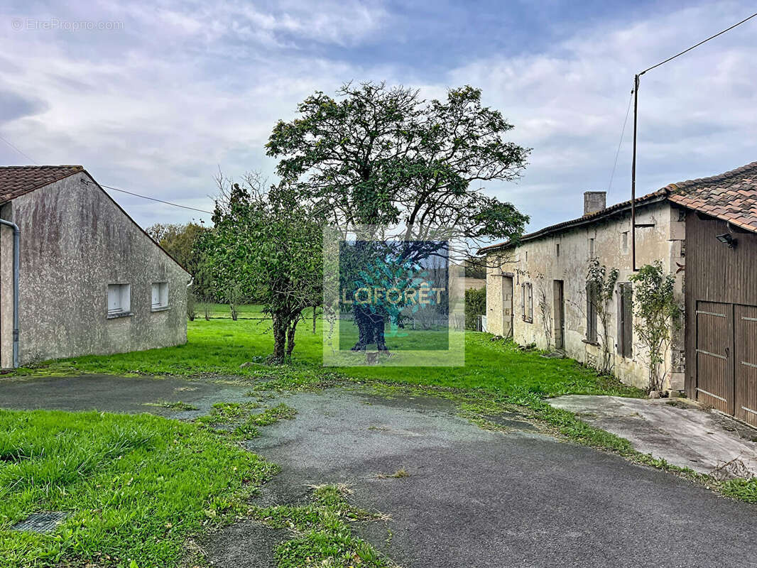 Maisons, double garage et dépendance proche Montendre. - photo 6
