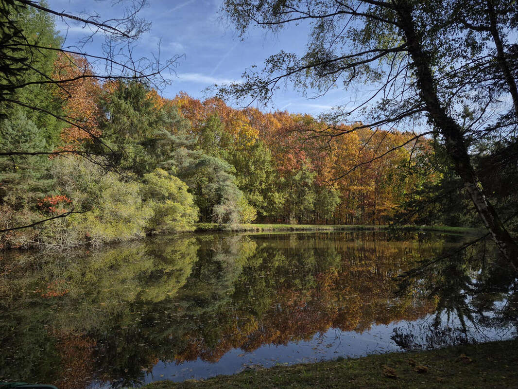 20251031_105822 - Terrain à PIEGUT-PLUVIERS