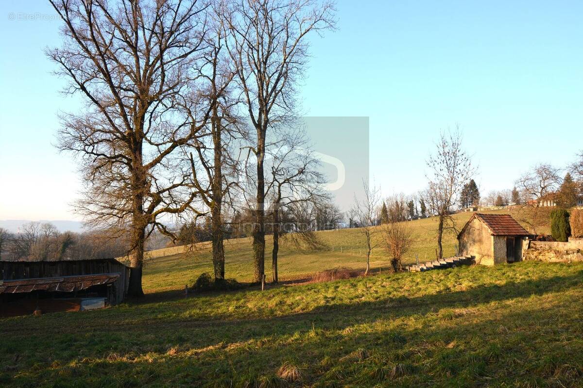 Appartement à QUINTAL