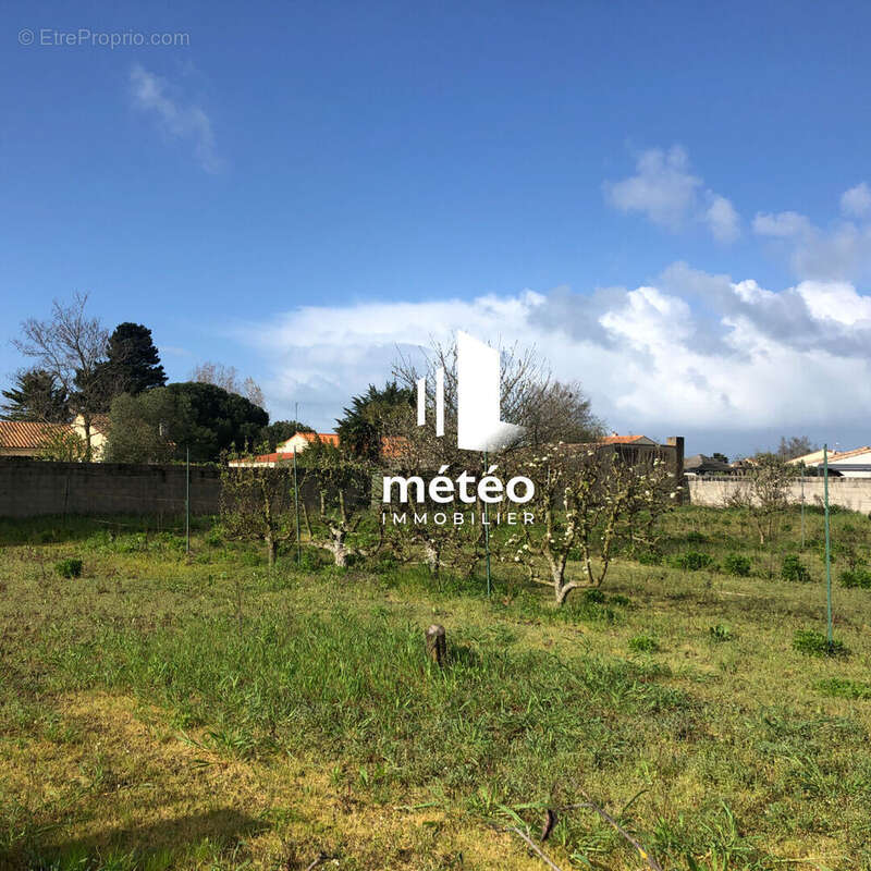 Terrain à LES SABLES-D&#039;OLONNE
