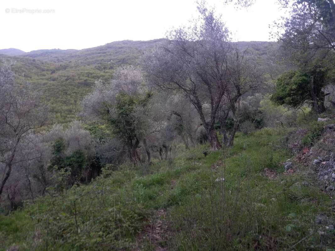 Grand terrain d'agrément - photo 9