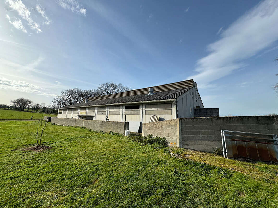 Commerce à MAZEIRAT