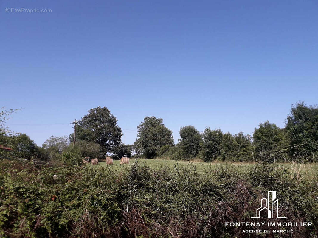 Terrain à VOUVANT