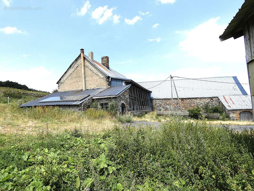 (1460 m²) Ancienne ferme avec vue sur le Mont Gerbier de Jonc  - photo 3