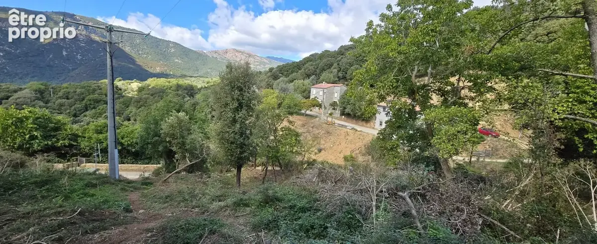 Photo 1 - Terrain à OLMICCIA
