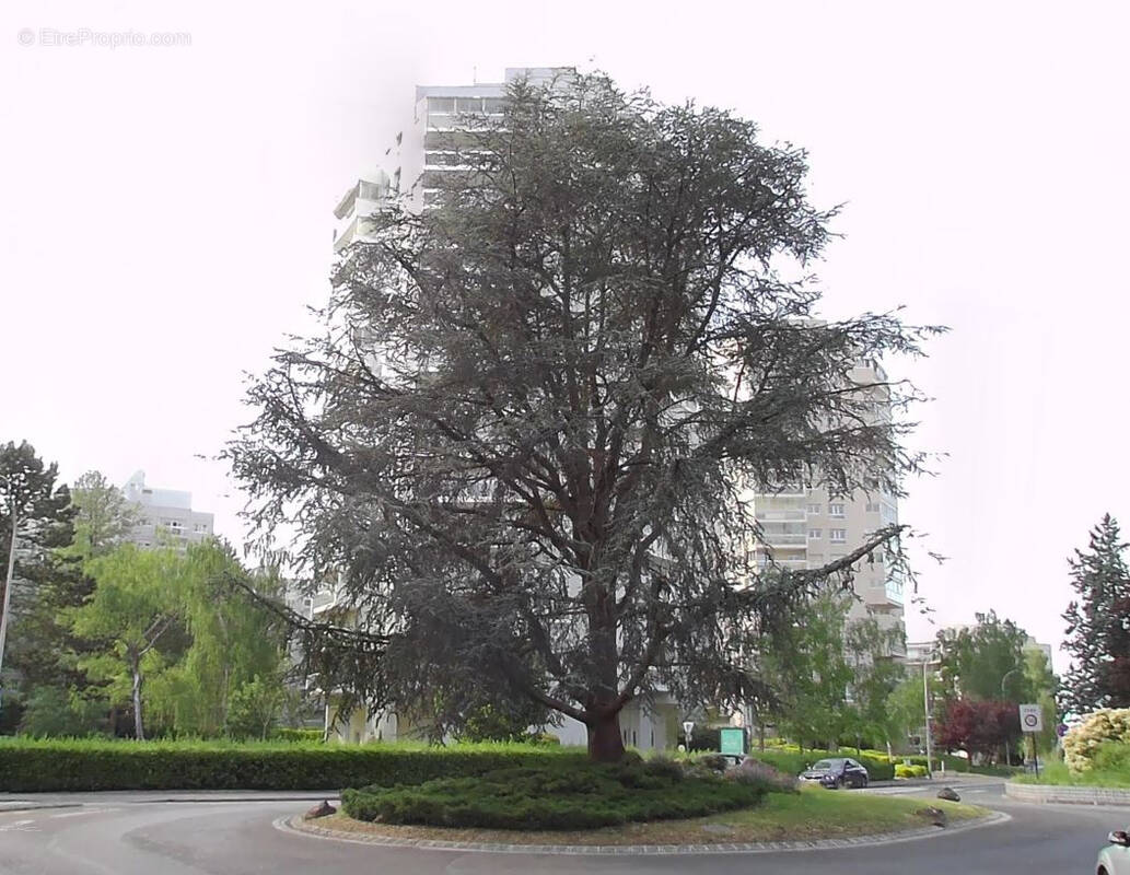 Parking à MARLY-LE-ROI