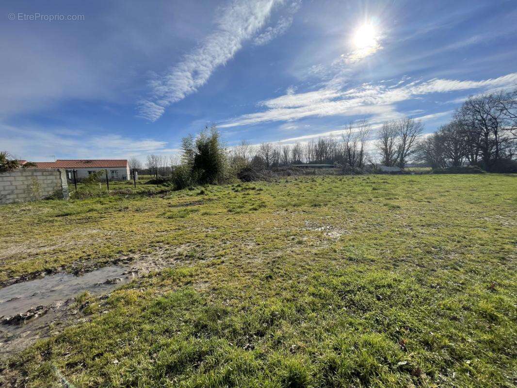 Terrain à SAINT-COLOMBAN