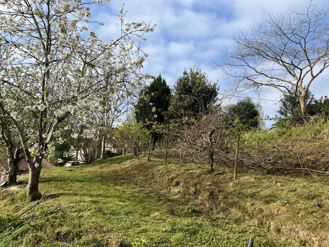 Terrain à AHETZE
