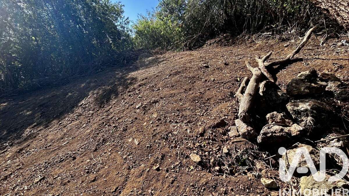 Photo 9 - Terrain à LE TAMPON