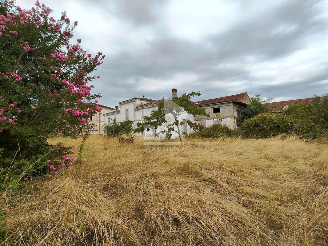 Maison à vendre à Saint Christoly de Blaye - 6 pièces, 236 m² sur 2700 m² de terrain - photo 4