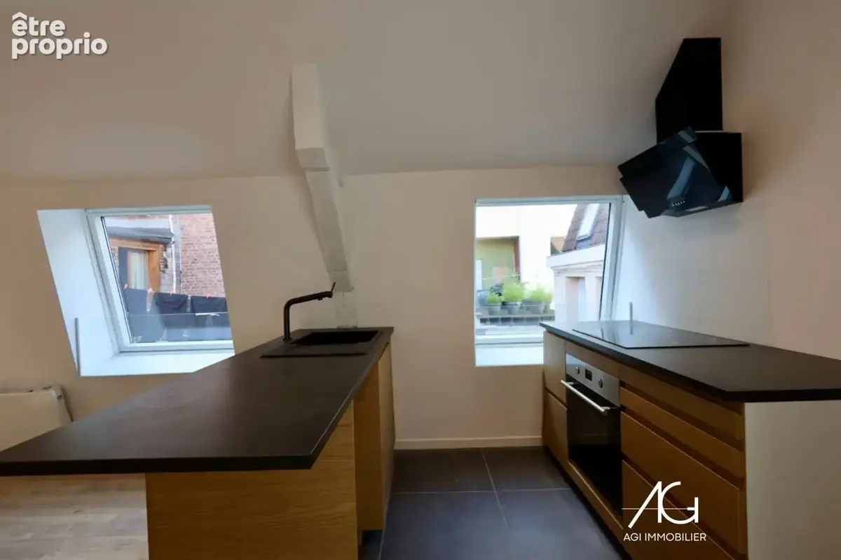 Appartement T3   50m2 rénové   Rue Léon Gambetta, Lille - photo 6