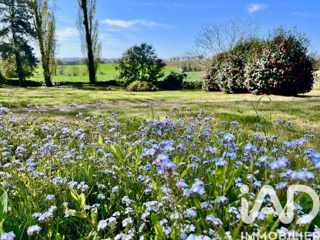 Photo 4 - Maison à PLEYBEN