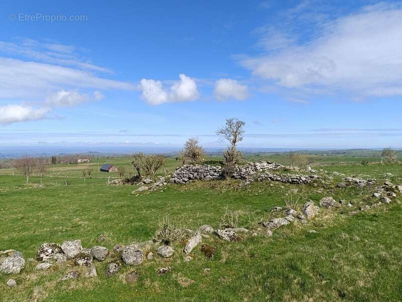 Maison à SAINT-VINCENT-DE-SALERS