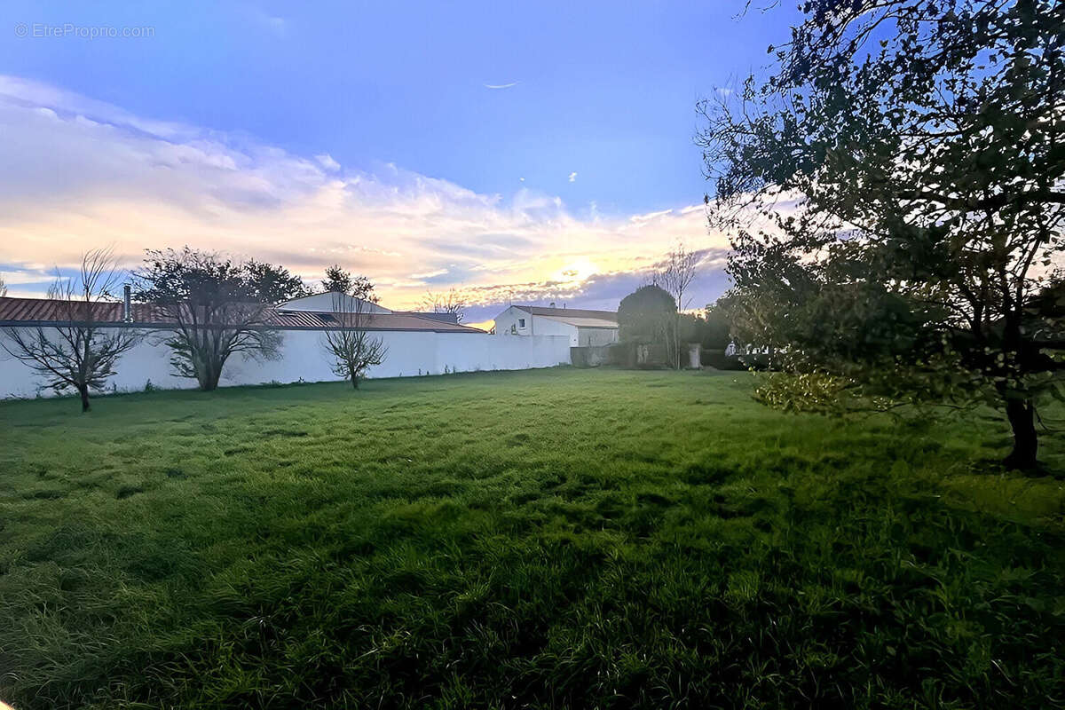 Terrain à SAINTE-SOULLE