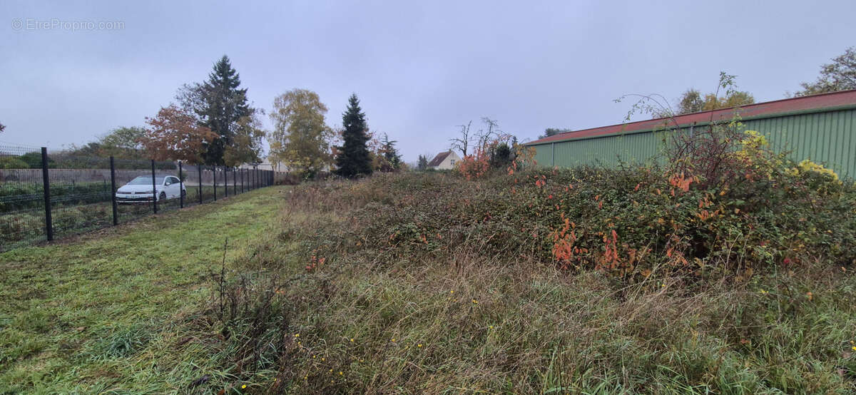 Terrain à CLERY-SAINT-ANDRE