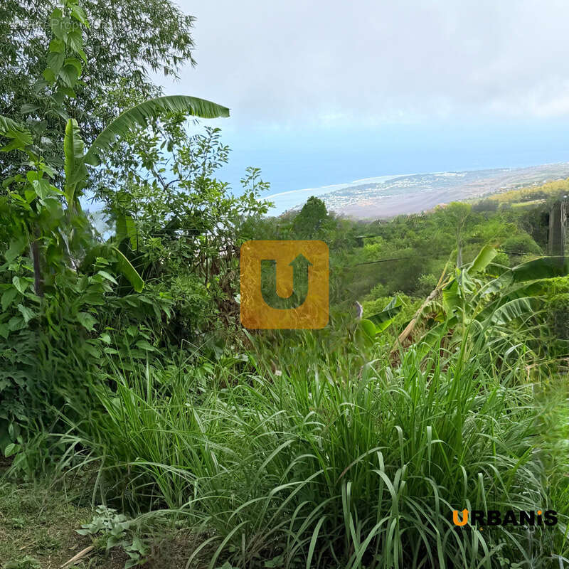 Maison à LES TROIS-BASSINS