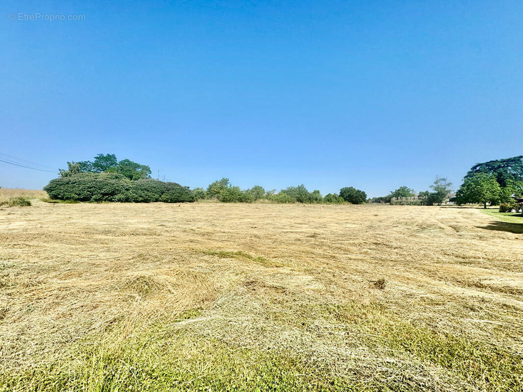 Terrain à MONFLANQUIN