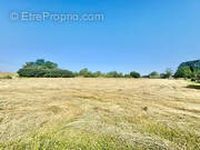 Terrain à MONFLANQUIN