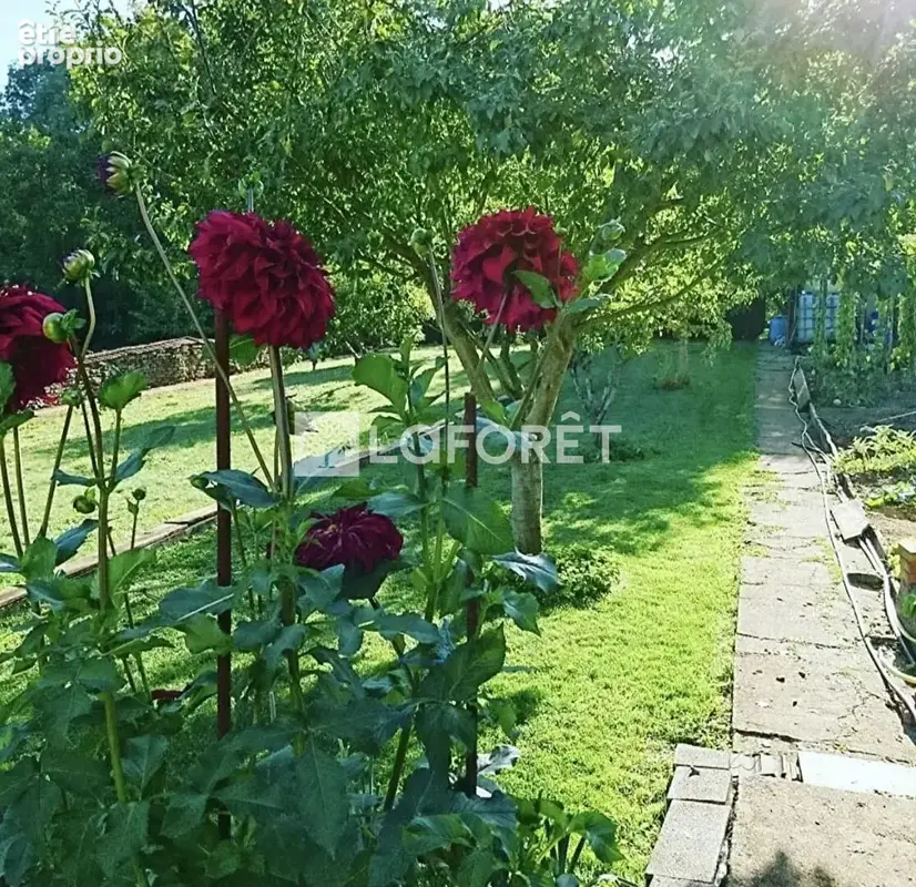 Maison 226 m2 AUMETZ - photo 2