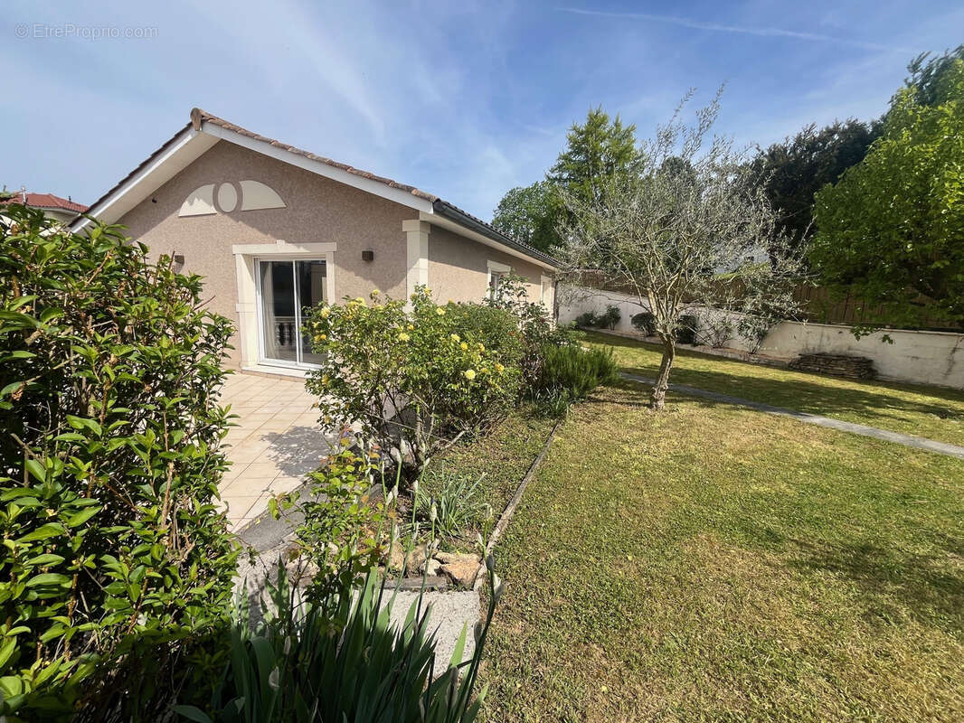 Maison à JASSANS-RIOTTIER