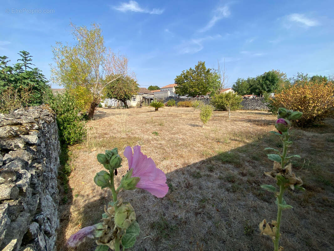 Maison en pierres, jardin, garage, préau, dépendances. - photo 12