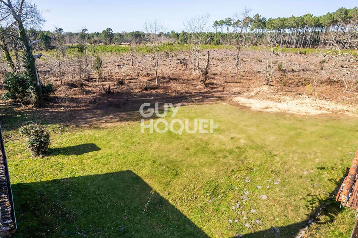 Terrain à BISCARROSSE