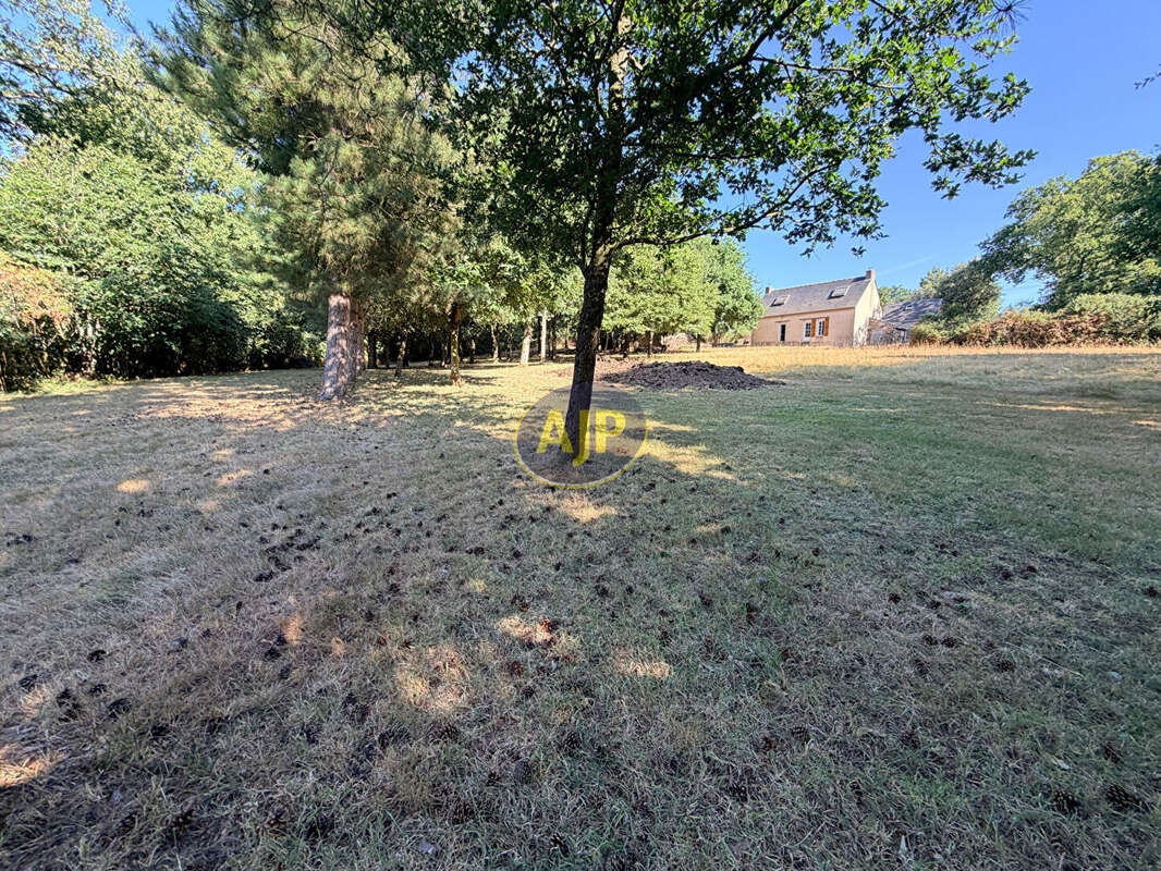 Ensemble GUEMENE-PENFAO Maison, dépendances sur  1 Hectare 4 de terrain - photo 2