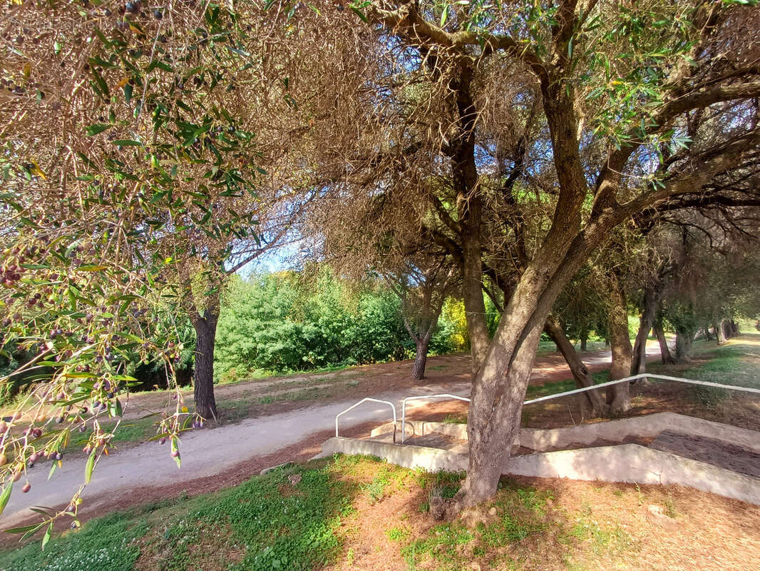 Maison à LA LONDE-LES-MAURES