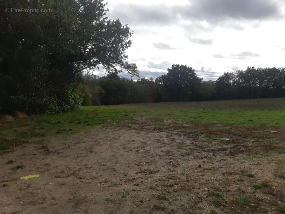 Terrain à CASTELMAUROU