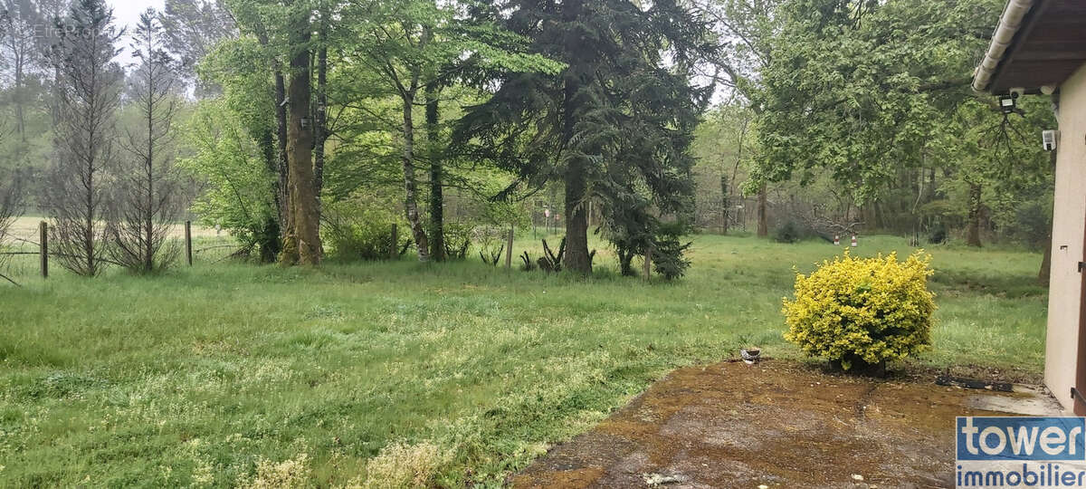 Propriété d'exception à sabres-maison rénovée-9,5 hectares - photo 5