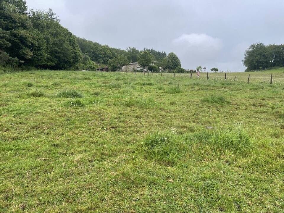 Terrain à RAZES