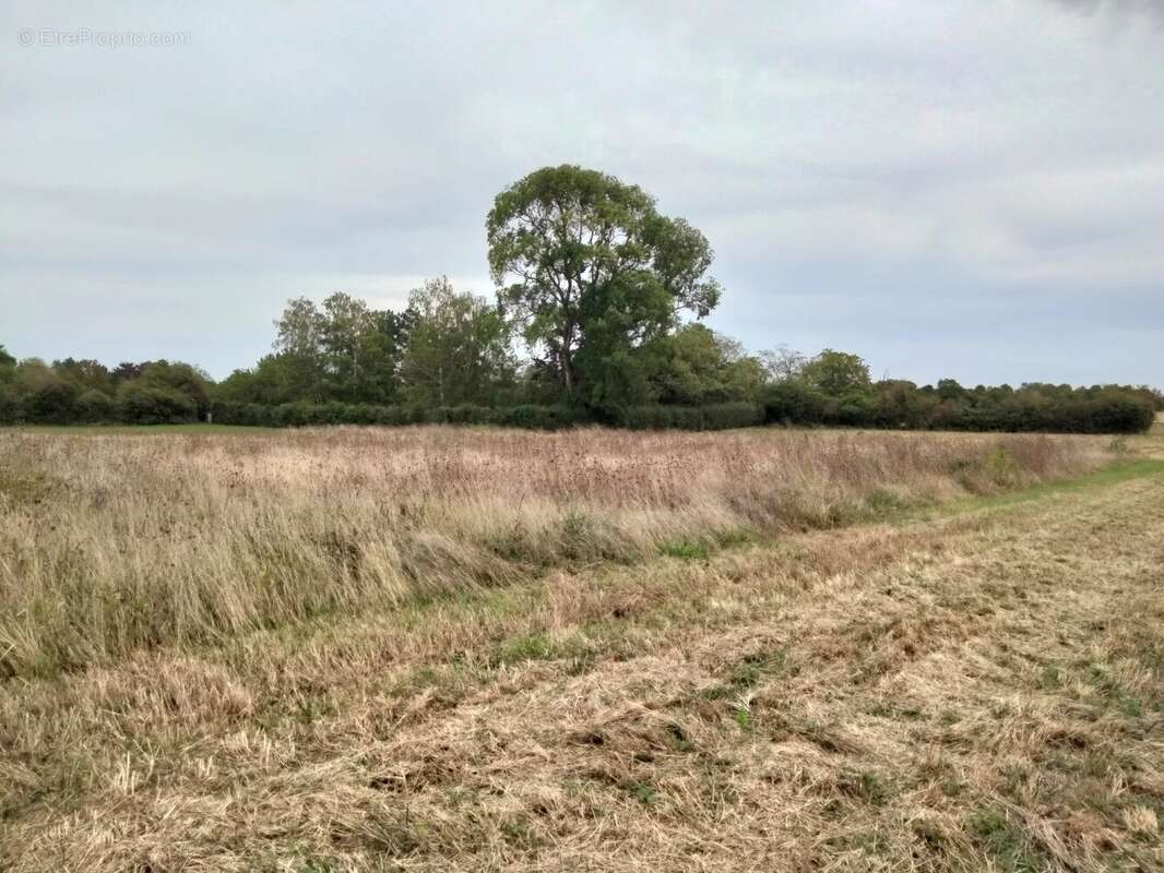 Terrain à YVERSAY