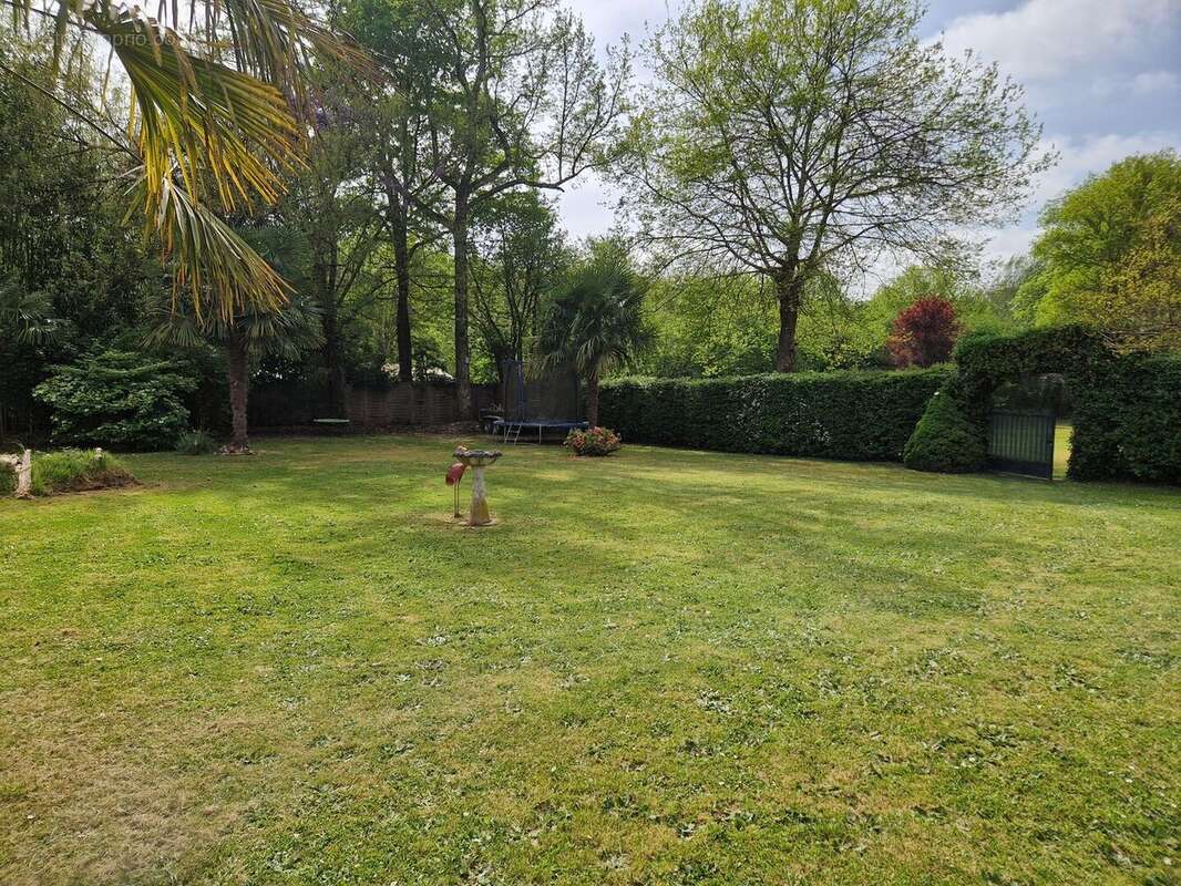 Propriété avec Maison d'habitation, Maison d'amis, Studio, Piscine, parc et jardin 7418m2 jusqu'à la rivière. - photo 7