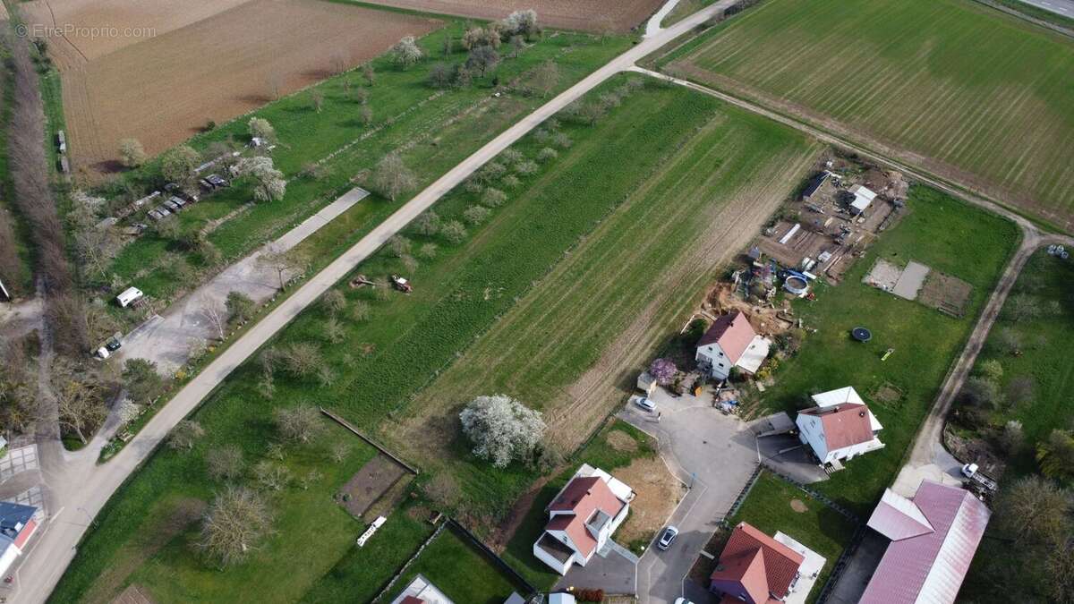 Terrain à GOTTESHEIM