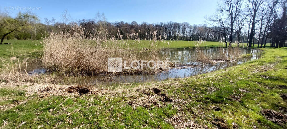 Terrain à GRANDVILLARS