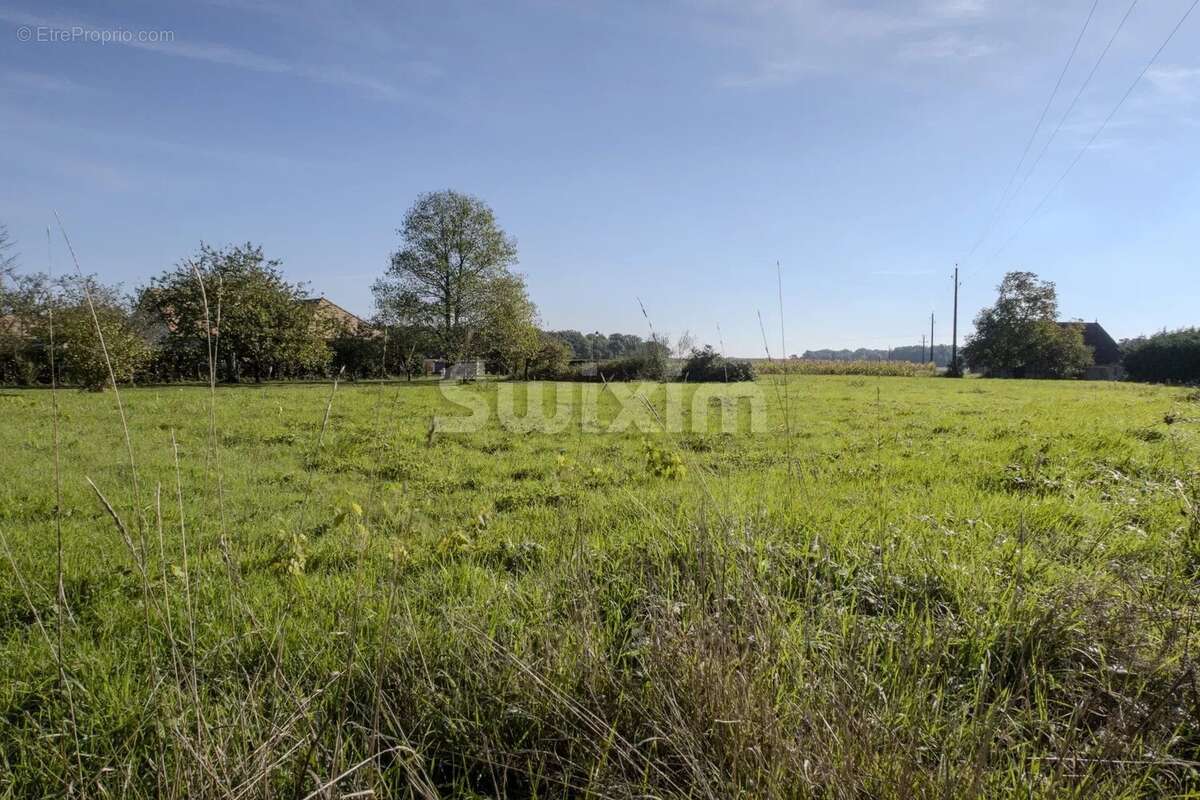 Terrain à SAINT-DIDIER-EN-BRESSE